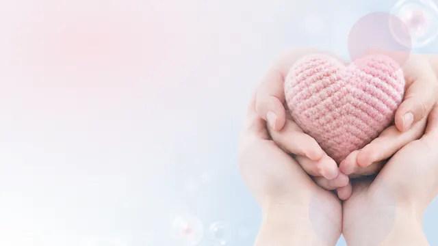 Embryo Transfer Checklist