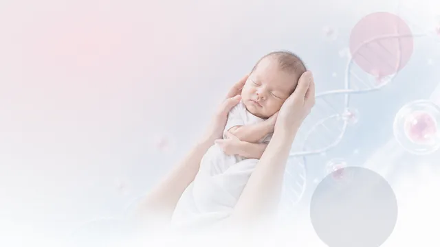 跨境试管婴儿时间表